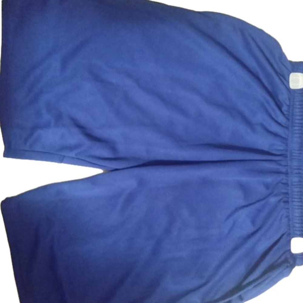Brooklyn Unlimited Medium Blue Shorts
